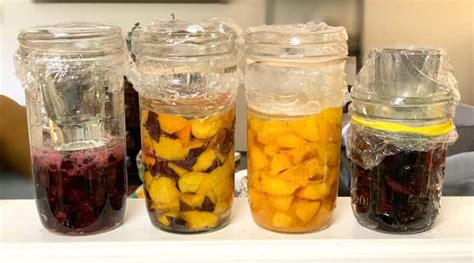 Fermented fruit - Oct 17, 2022 ... Join Gwen as she interviews Billy Hoekman from Green JuJu on the topic of serving fermented fruit to your pets.